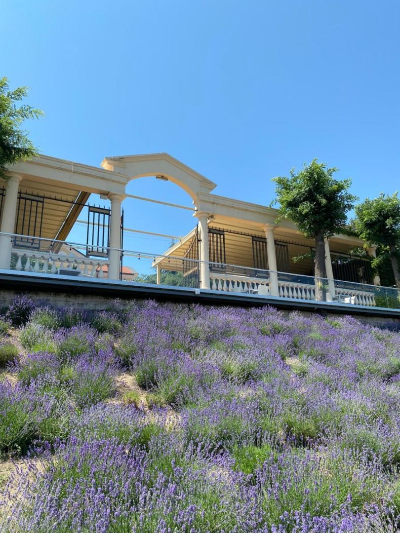 La Gioconda Boutique Hotel Odessa Dış mekan fotoğraf